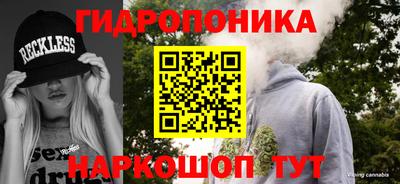 спиды Бийск