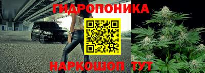 спиды Бийск