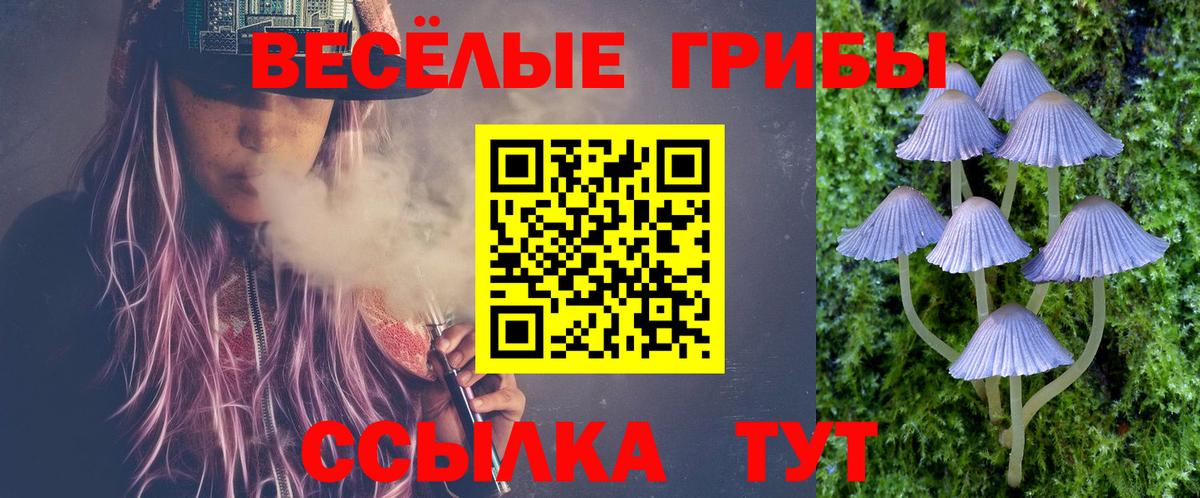 закладка  Вход с VPN  Воронеж  Галлюциногенные грибы мицелий 